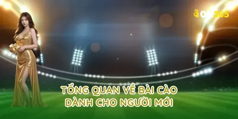 Tổng quan về bài cào dành cho người mới