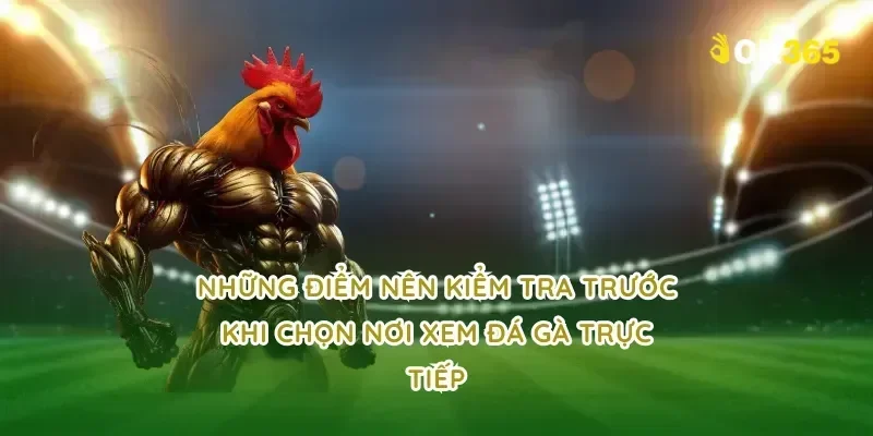 Những điểm nên kiểm tra trước khi chọn nơi xem đá gà trực tiếp