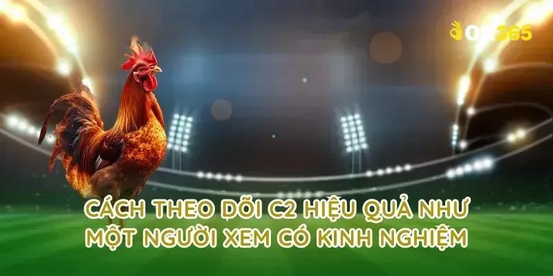 Cách theo dõi c2 hiệu quả như một người xem có kinh nghiệm