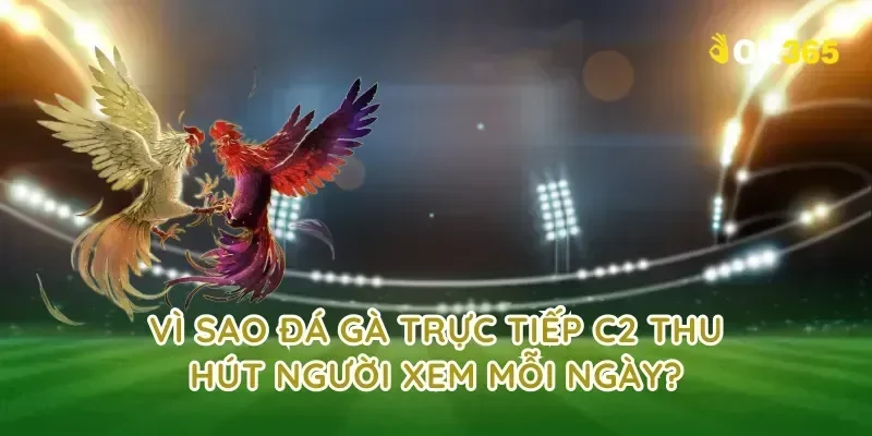 Vì sao đá gà trực tiếp c2 thu hút người xem mỗi ngày?