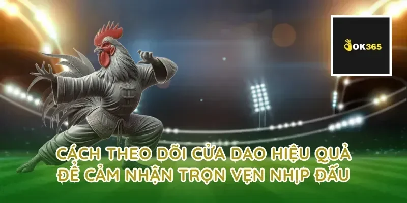 Cách theo dõi cửa dao hiệu quả để cảm nhận trọn vẹn nhịp đấu