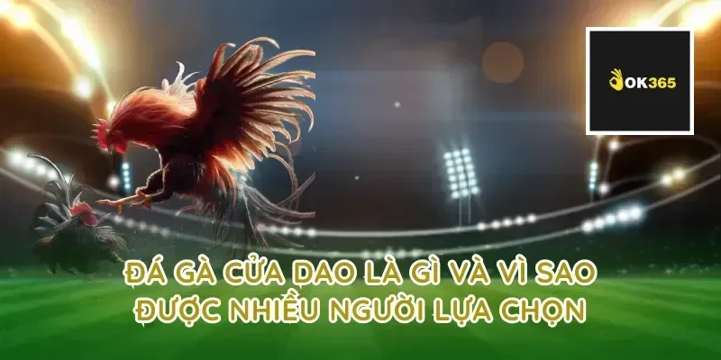 Đá gà cửa dao là gì và vì sao được nhiều người lựa chọn