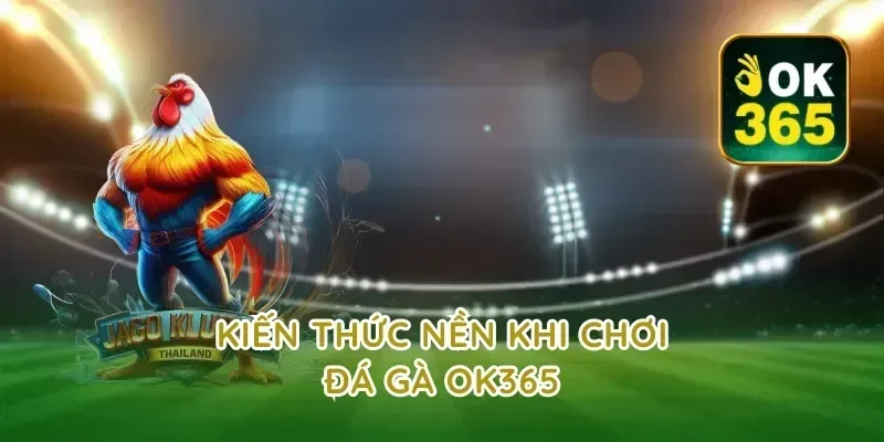 Kiến thức nền khi chơi đá gà ok365
