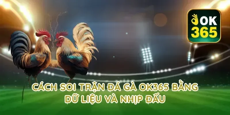 Cách soi trận đá gà ok365 bằng dữ liệu và nhịp đấu