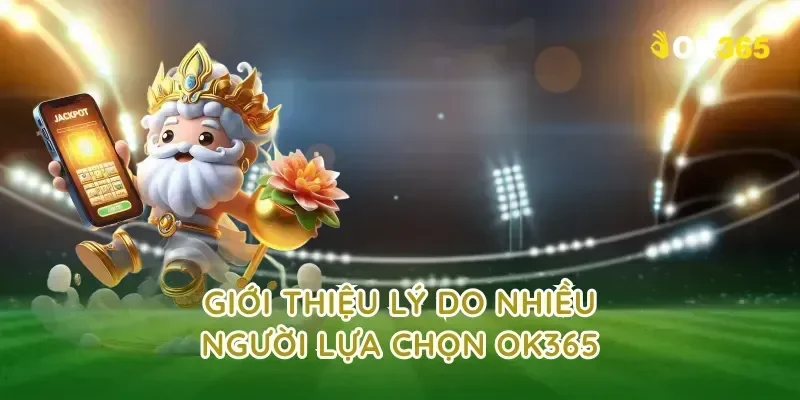 Giới thiệu lý do nhiều người lựa chọn ok365