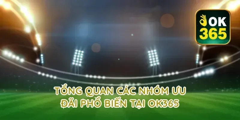 Tổng quan các nhóm ưu đãi phổ biến tại OK365