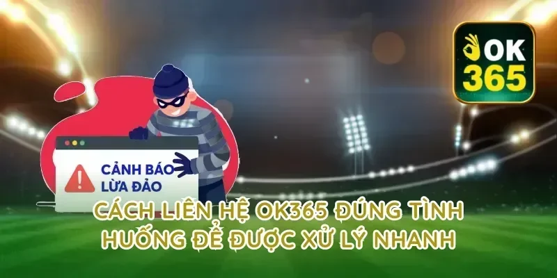 Cách liên hệ ok365 đúng tình huống để được xử lý nhanh