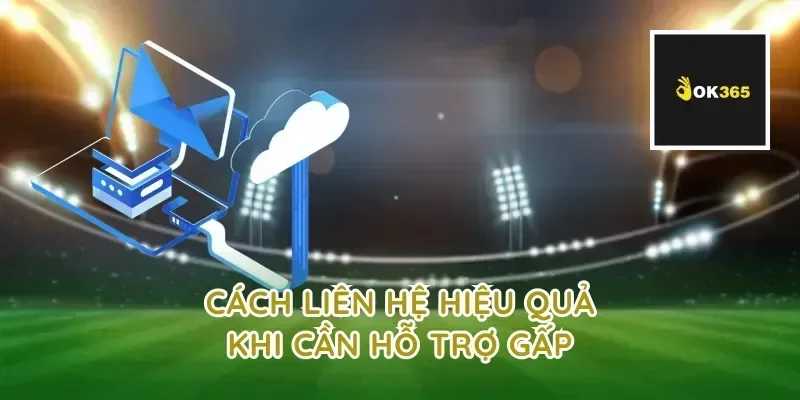 Cách liên hệ hiệu quả khi cần hỗ trợ gấp