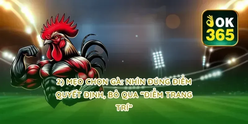 2) Mẹo chọn gà: nhìn đúng điểm quyết định, bỏ qua “điểm trang trí”