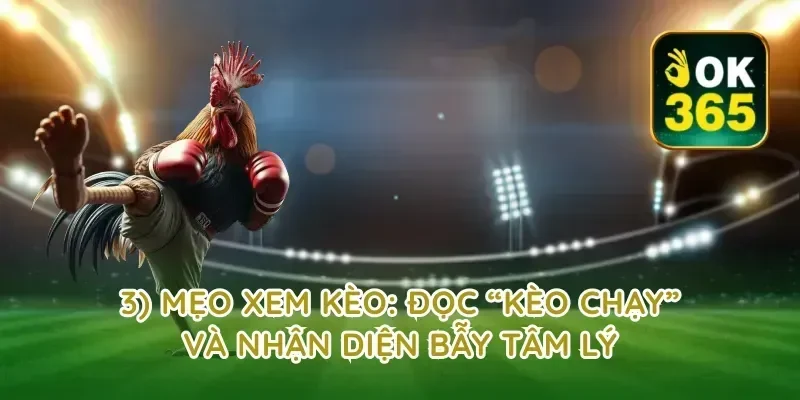 3) Mẹo xem kèo: đọc “kèo chạy” và nhận diện bẫy tâm lý