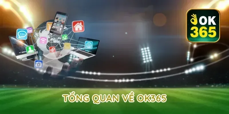 Tổng Quan Về ok365