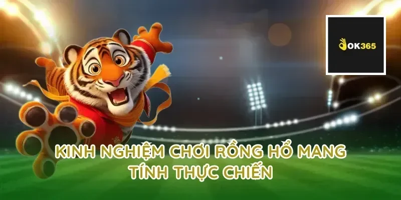 Kinh nghiệm chơi rồng hổ mang tính thực chiến