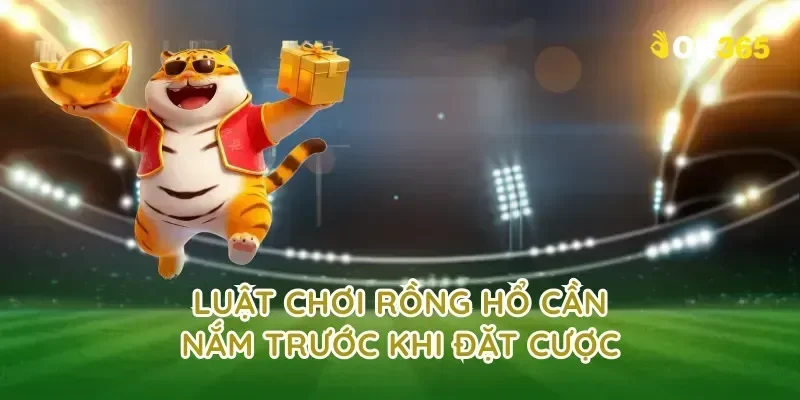 Luật chơi rồng hổ cần nắm trước khi đặt cược