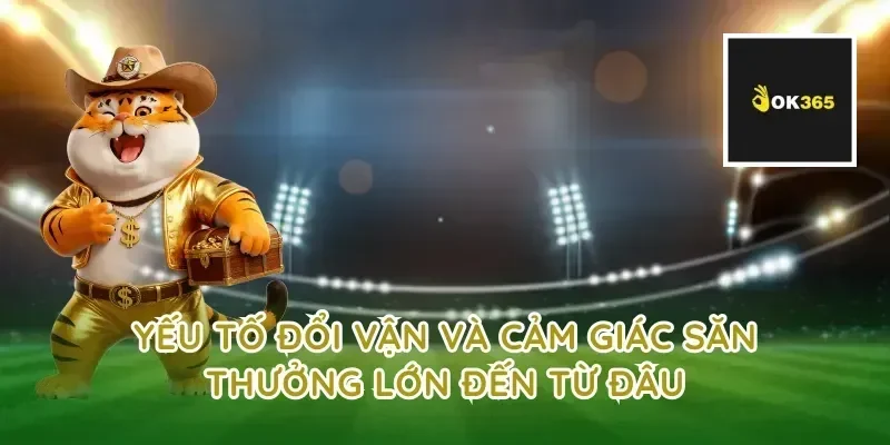 Yếu tố đổi vận và cảm giác săn thưởng lớn đến từ đâu