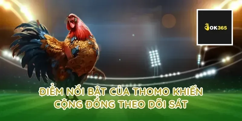 Điểm nổi bật của thomo khiến cộng đồng theo dõi sát