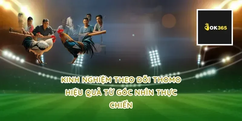 Kinh nghiệm theo dõi thomo hiệu quả từ góc nhìn thực chiến