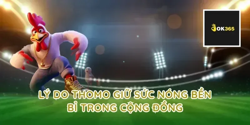 Lý do thomo giữ sức nóng bền bỉ trong cộng đồng