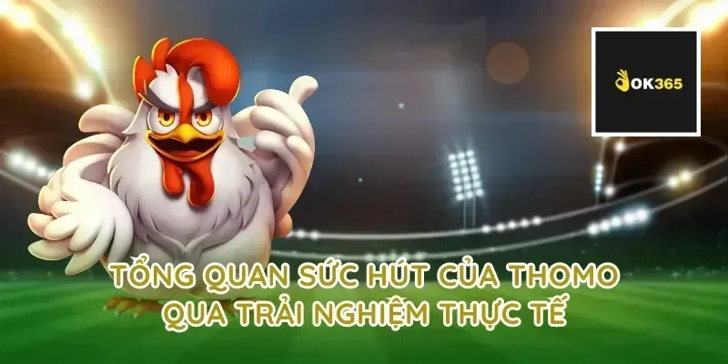 Tổng quan sức hút của thomo qua trải nghiệm thực tế