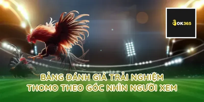 Bảng đánh giá trải nghiệm thomo theo góc nhìn người xem